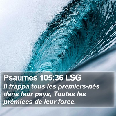 Psaumes 105:36 LSG Bible Verse Image
