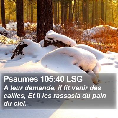 Psaumes 105:40 LSG Bible Verse Image