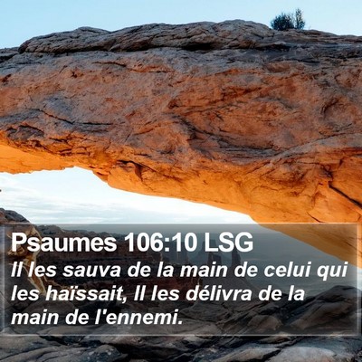 Psaumes 106:10 LSG Bible Verse Image