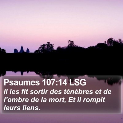 Psaumes 107:14 LSG Bible Verse Image