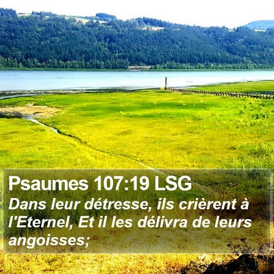 Psaumes 107:19 LSG Bible Verse Image