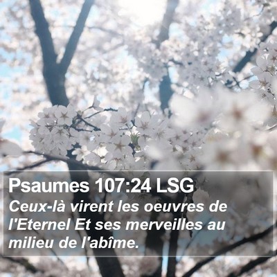 Psaumes 107:24 LSG Bible Verse Image