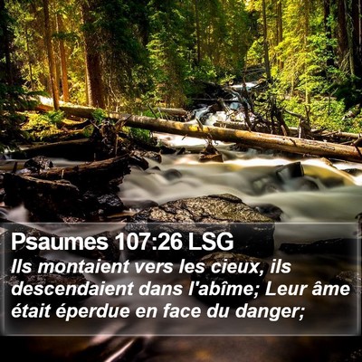Psaumes 107:26 LSG Bible Verse Image