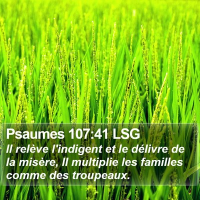 Psaumes 107:41 LSG Bible Verse Image