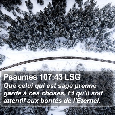 Psaumes 107:43 LSG Bible Verse Image