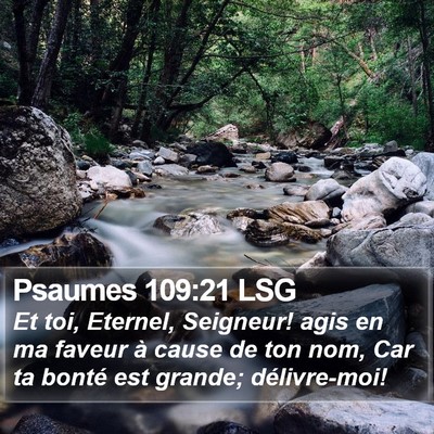Psaumes 109:21 LSG Bible Verse Image