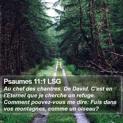 Psaumes 11:1 LSG Bible Verse Image