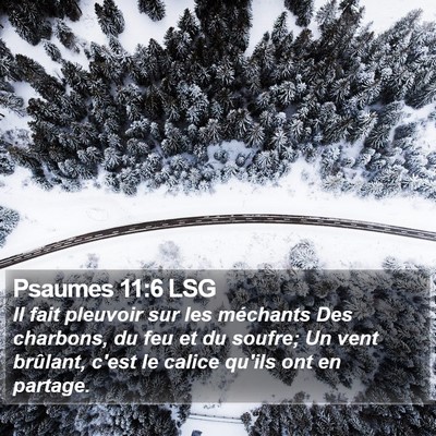 Psaumes 11:6 LSG Bible Verse Image