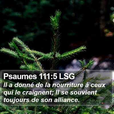 Psaumes 111:5 LSG Bible Verse Image