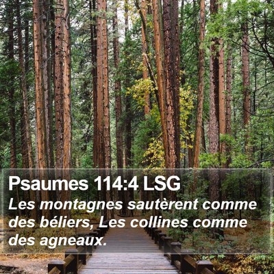 Psaumes 114:4 LSG Bible Verse Image