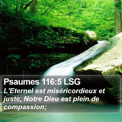 Psaumes 116:5 LSG Bible Verse Image
