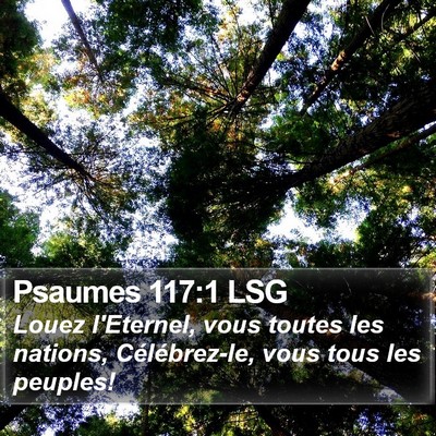 Psaumes 117:1 LSG Bible Verse Image