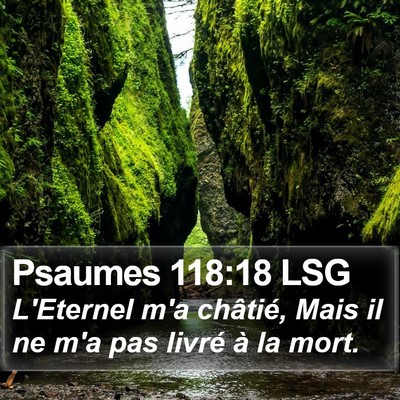 Psaumes 118:18 LSG Bible Verse Image