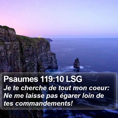Psaumes 119:10 LSG Bible Verse Image