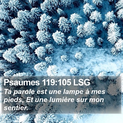 Psaumes 119:105 LSG Bible Verse Image