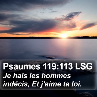 Psaumes 119:113 LSG Bible Verse Image