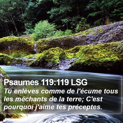 Psaumes 119:119 LSG Bible Verse Image