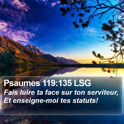 Psaumes 119:135 LSG Bible Verse Image