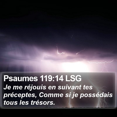 Psaumes 119:14 LSG Bible Verse Image