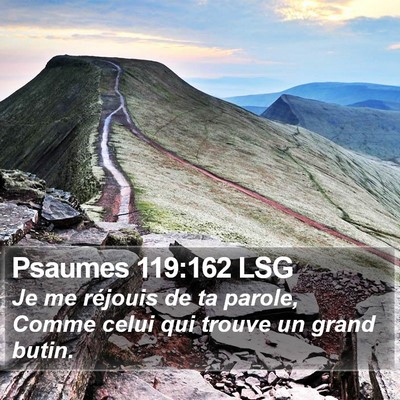 Psaumes 119:162 LSG Bible Verse Image