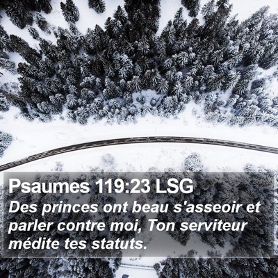 Psaumes 119:23 LSG Bible Verse Image