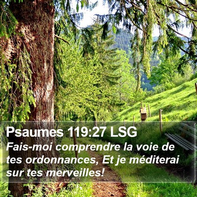 Psaumes 119:27 LSG Bible Verse Image