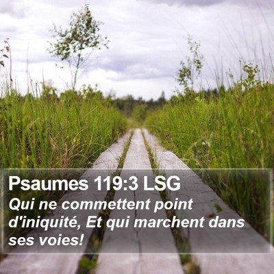 Psaumes 119:3 LSG Bible Verse Image