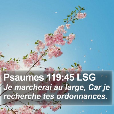 Psaumes 119:45 LSG Bible Verse Image