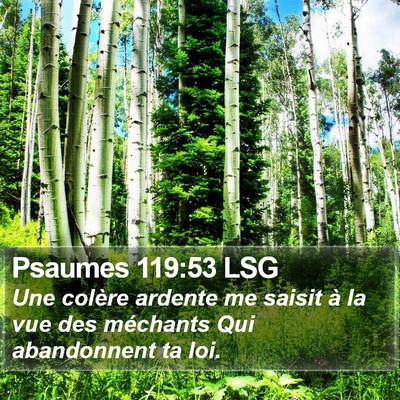 Psaumes 119:53 LSG Bible Verse Image