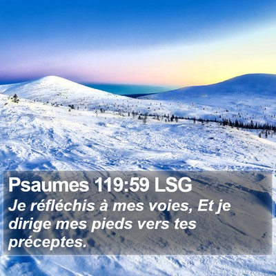 Psaumes 119:59 LSG Bible Verse Image