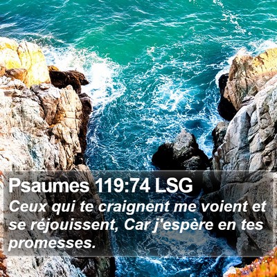 Psaumes 119:74 LSG Bible Verse Image