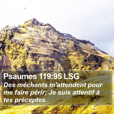 Psaumes 119:95 LSG Bible Verse Image