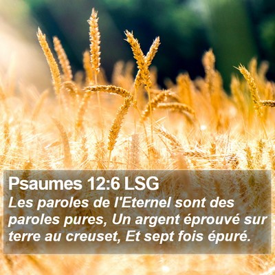 Psaumes 12:6 LSG Bible Verse Image