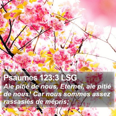 Psaumes 123:3 LSG Bible Verse Image