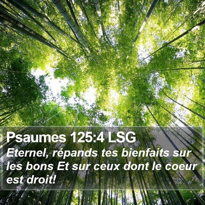 Psaumes 125:4 LSG Bible Verse Image