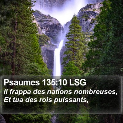 Psaumes 135:10 LSG Bible Verse Image