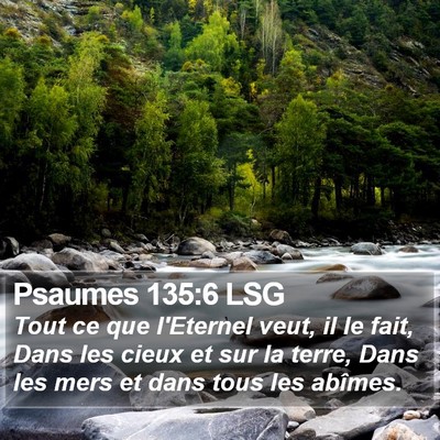 Psaumes 135:6 LSG Bible Verse Image