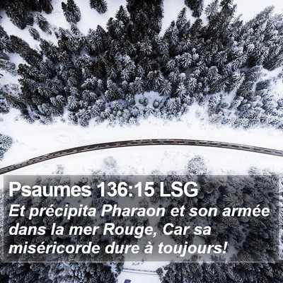 Psaumes 136:15 LSG Bible Verse Image