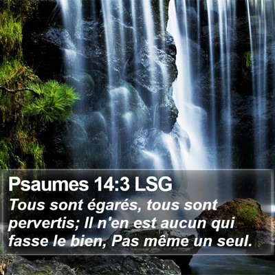 Psaumes 14:3 LSG Bible Verse Image