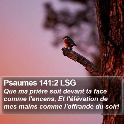 Psaumes 141:2 LSG Bible Verse Image
