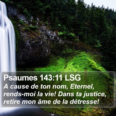 Psaumes 143:11 LSG Bible Verse Image