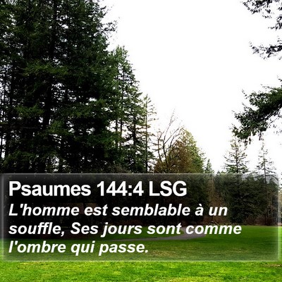 Psaumes 144:4 LSG Bible Verse Image