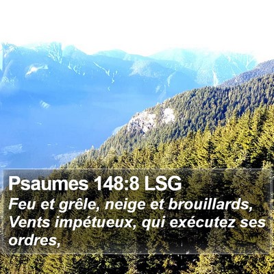 Psaumes 148:8 LSG Bible Verse Image