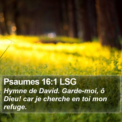 Psaumes 16:1 LSG Bible Verse Image