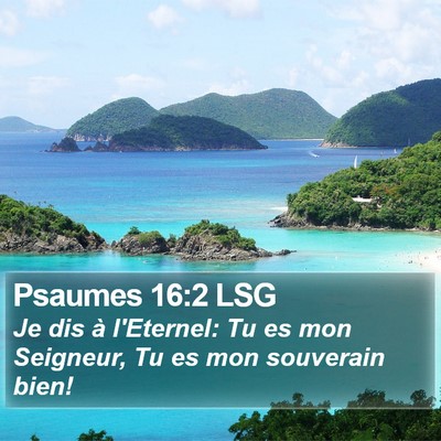Psaumes 16:2 LSG Bible Verse Image