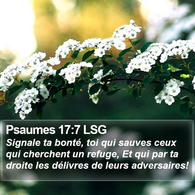 Psaumes 17:7 LSG Bible Verse Image