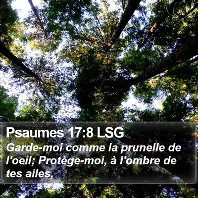 Psaumes 17:8 LSG Bible Verse Image