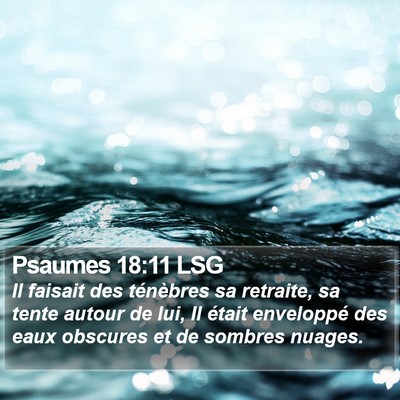 Psaumes 18:11 LSG Bible Verse Image