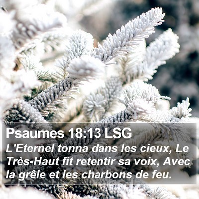 Psaumes 18:13 LSG Bible Verse Image