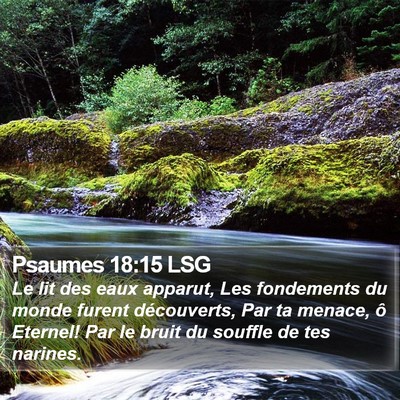 Psaumes 18:15 LSG Bible Verse Image